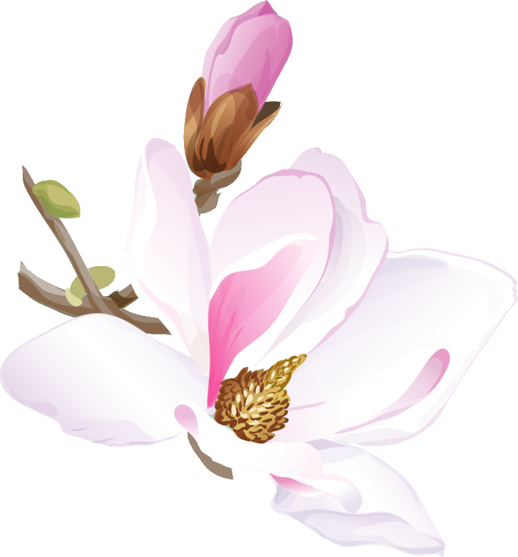 手書き風の花のイラスト 画像no 010 ピンクの花 水彩画風 無料のフリー素材集 百花繚乱