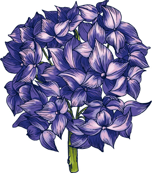 画像サンプル-紫色の花・手書き風