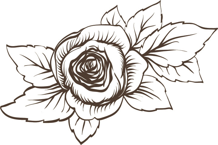 画像サンプル-白黒のバラ・手描き風