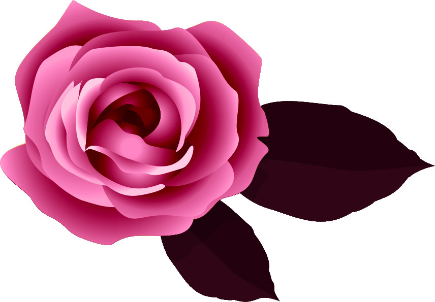 画像サンプル-赤紫のバラ