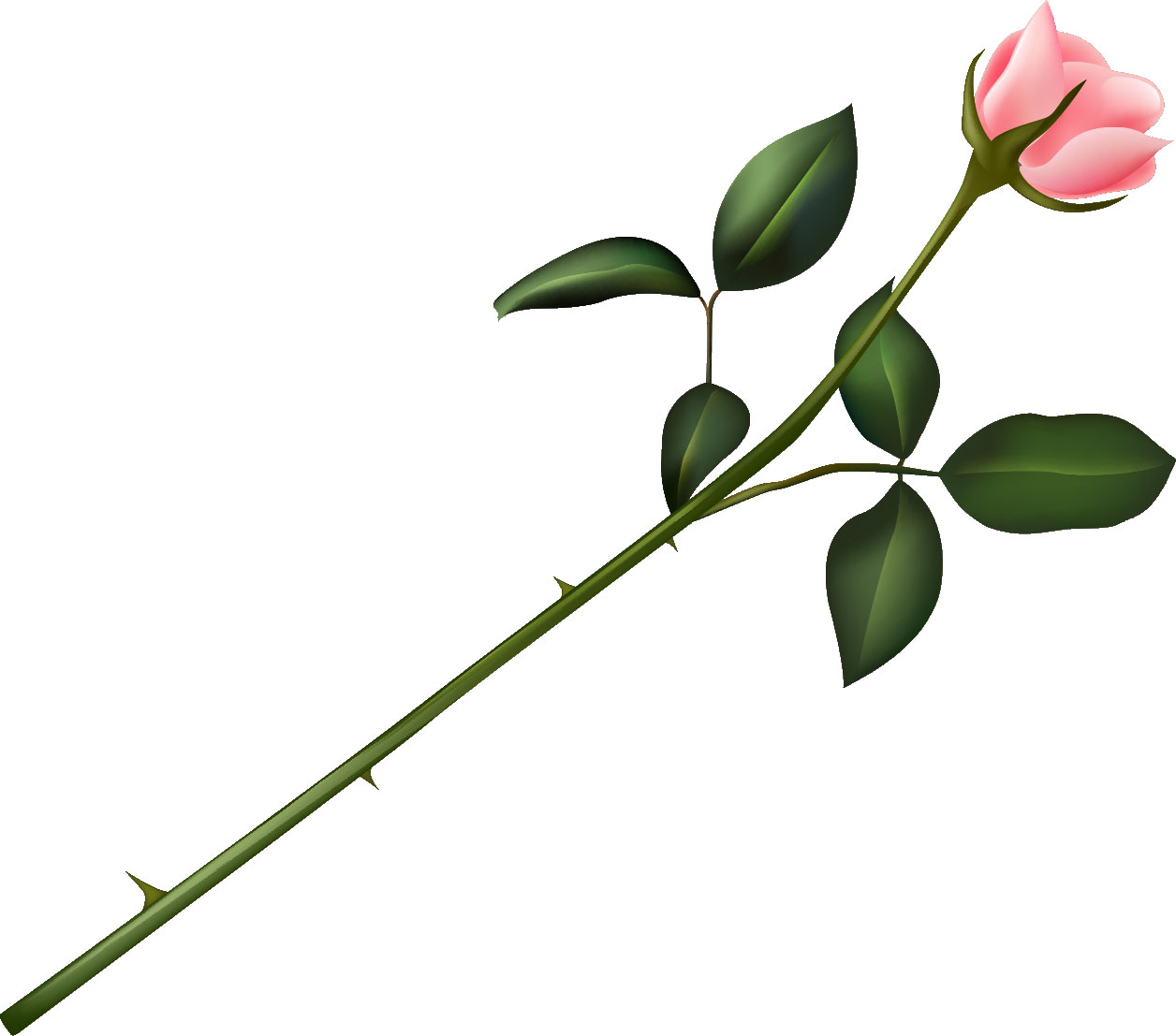 画像サンプル-ピンクのバラ