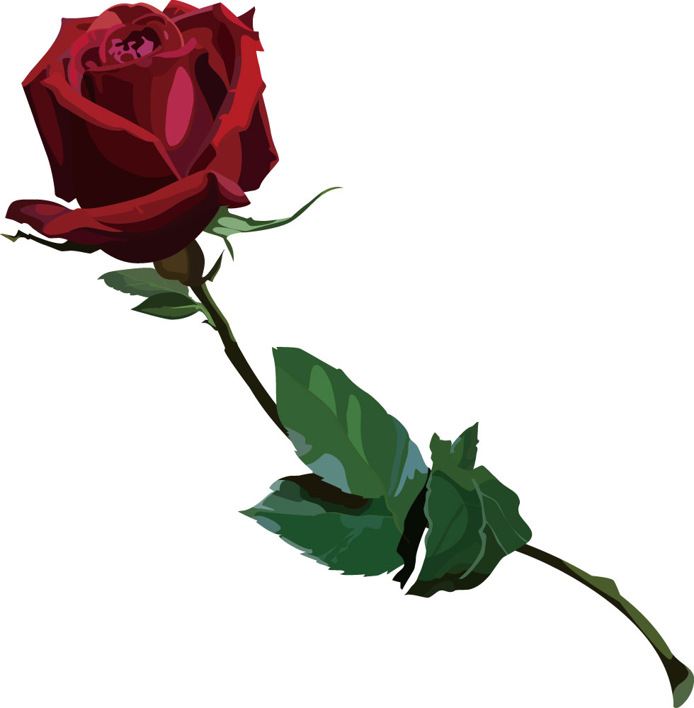 画像サンプル-リアルな赤バラ