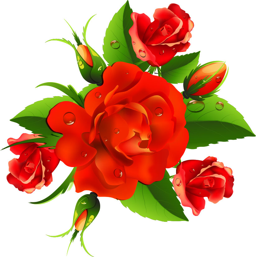 画像サンプル-赤いバラ・水滴