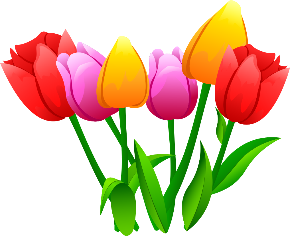 Тюльпаны картинки детские. Тюльпаны вектор. Тюльпаны на прозрачном фоне. Тюльпаны мультяшные. Цветы тюльпаны вектор.