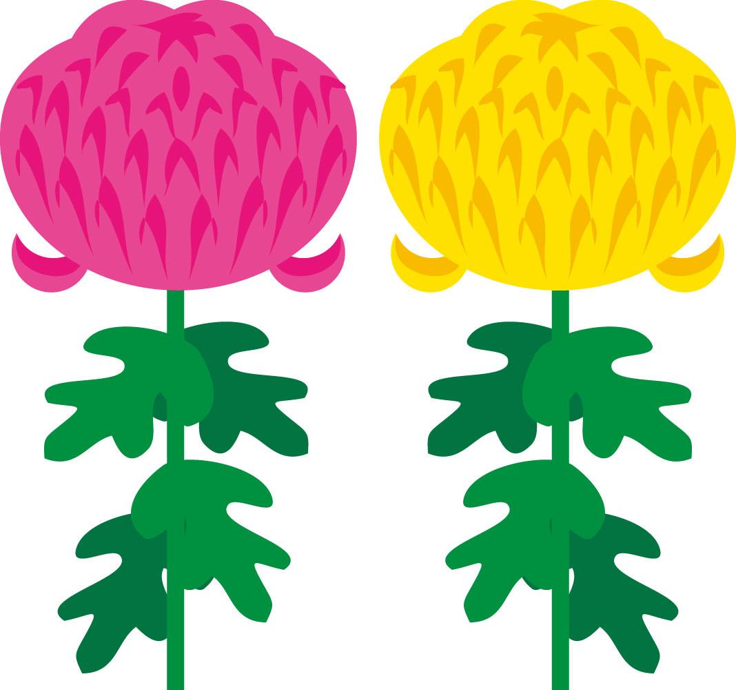 きく 菊 のイラスト 画像no 11 ２色の菊の花 無料のフリー素材集 百花繚乱