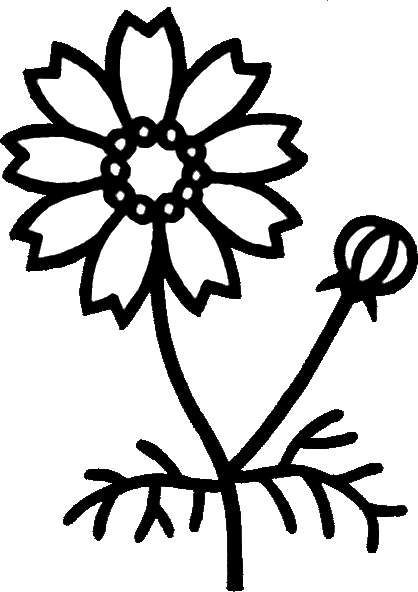 白黒の花のイラスト・画像No.022『白黒・コスモス』／無料のフリー素材集【百花繚乱】