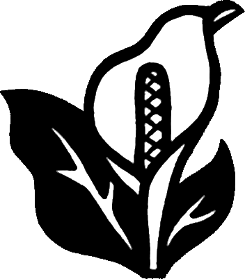 白黒の花のイラスト 画像no 032 白黒 水芭蕉 無料のフリー素材集 百花繚乱