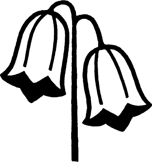 画像サンプル-白黒・垂れた花