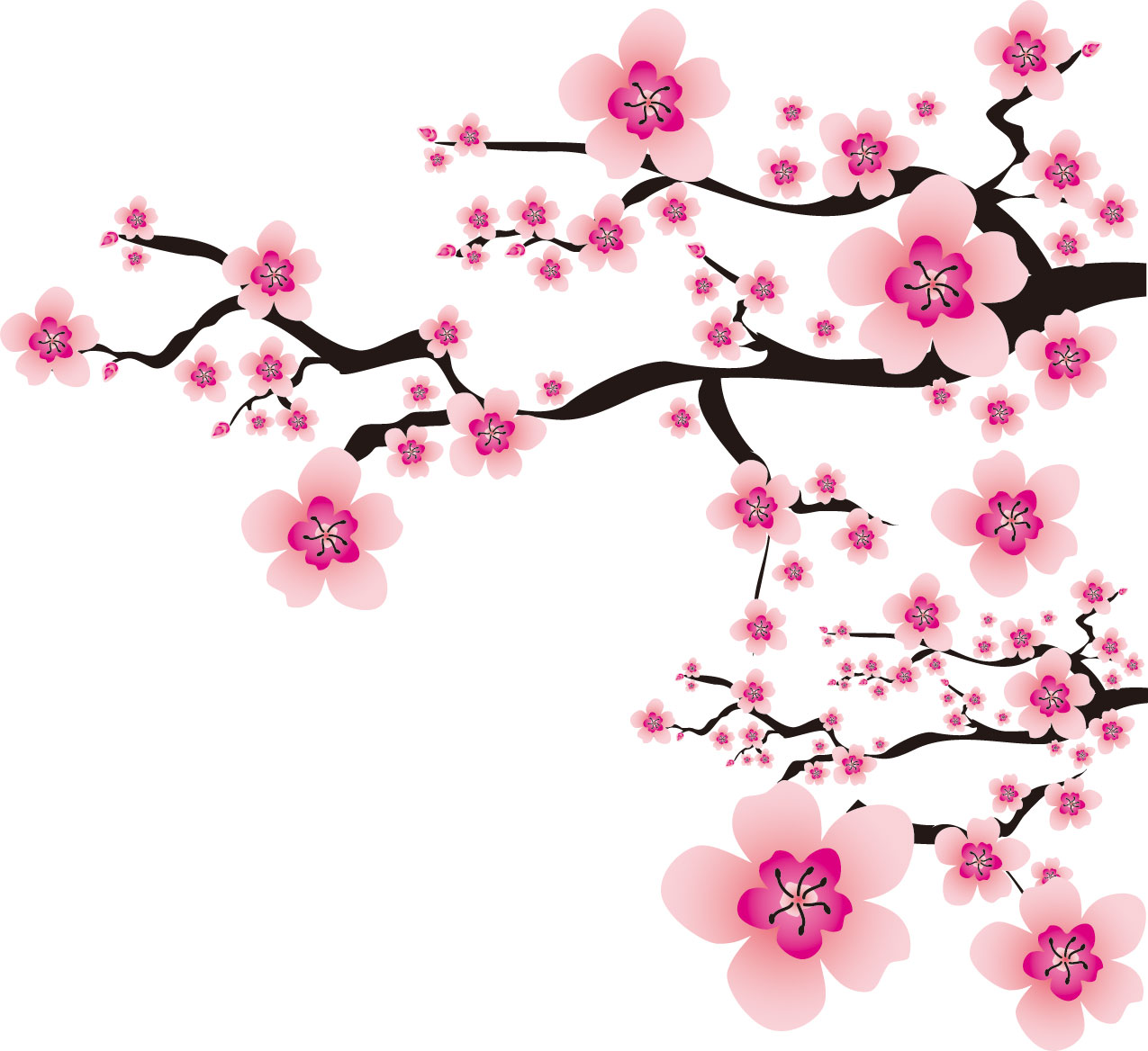 桜 さくら のイラスト 画像 無料のフリー素材集 百花繚乱