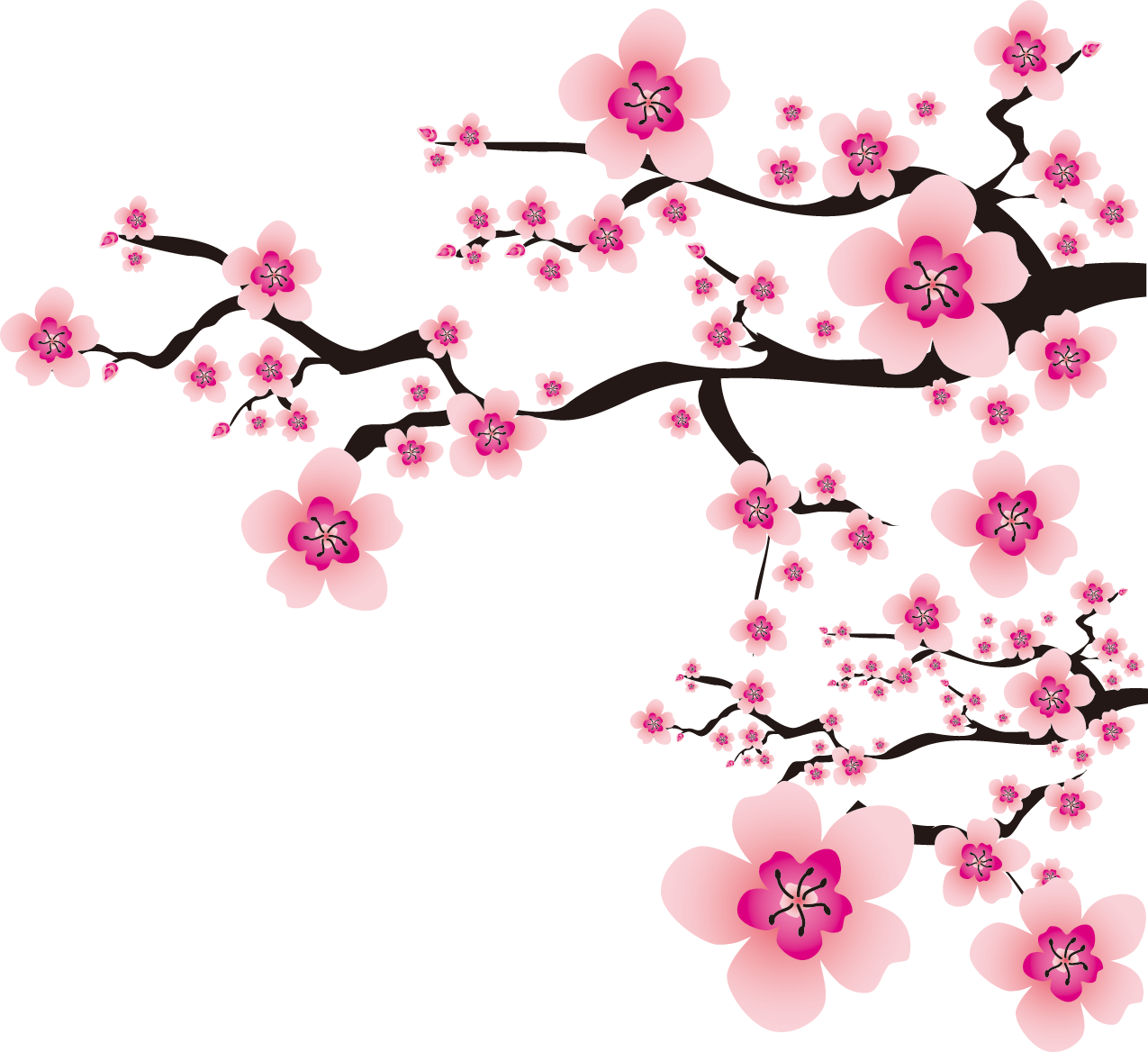 さくら 桜 のイラスト 画像no 005 桜の花と木枝 無料のフリー素材集 百花繚乱