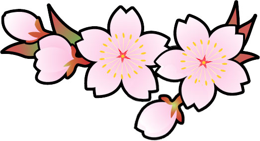さくら 桜 のイラスト 画像no 023 サクラの花とつぼみ 無料のフリー素材集 百花繚乱