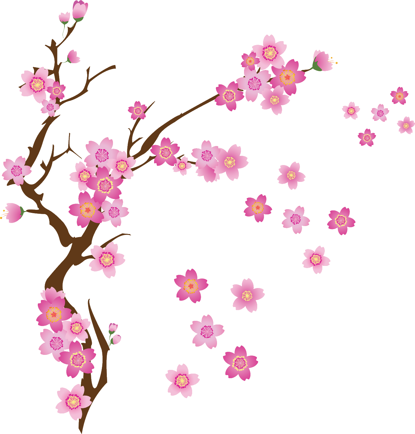 さくら 桜 のイラスト 画像no 058 さくらの花と枝 無料のフリー素材集 百花繚乱