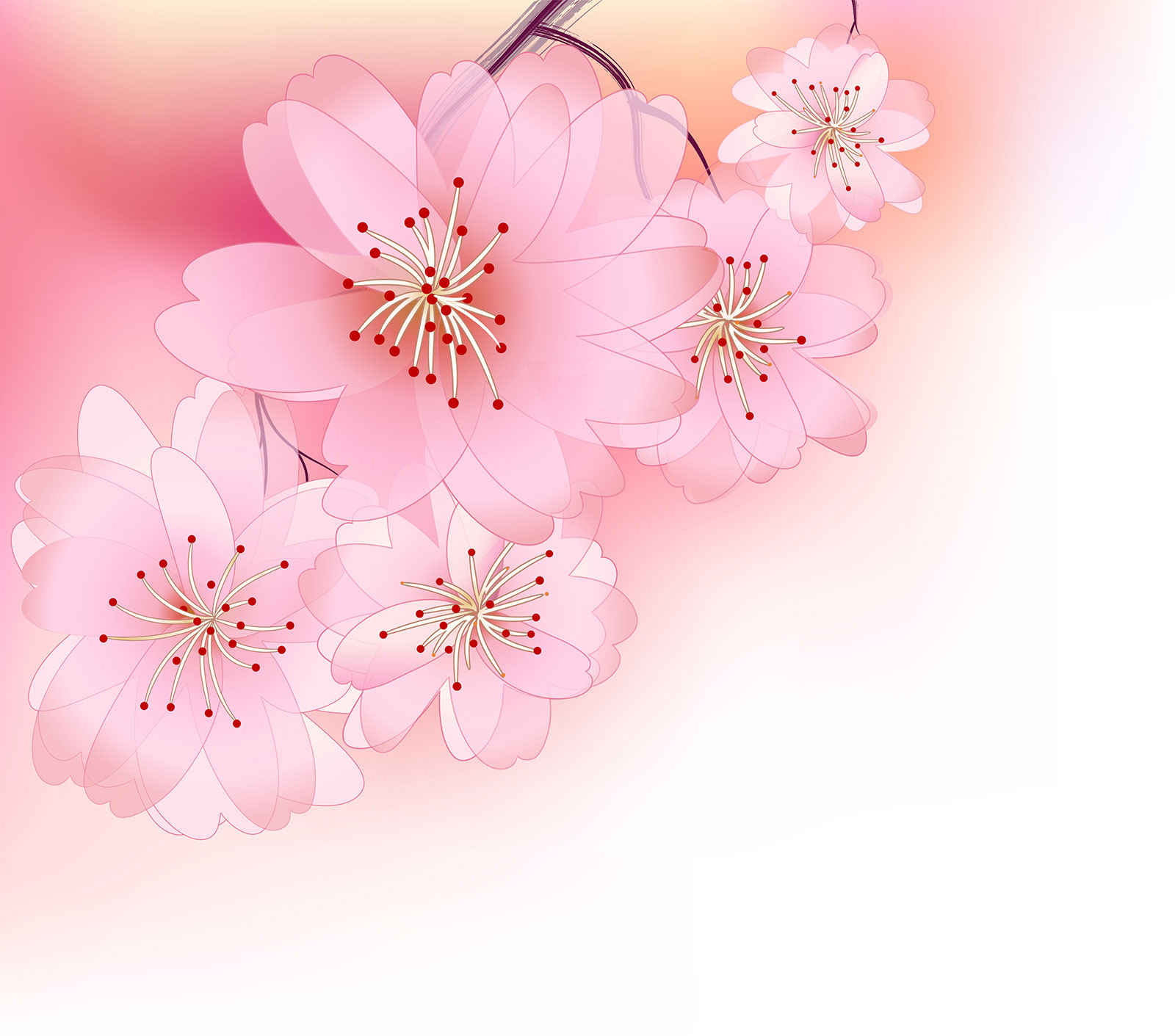 さくら 桜 のイラスト 画像no 062 壁紙 ポップなさくら 無料のフリー素材集 百花繚乱