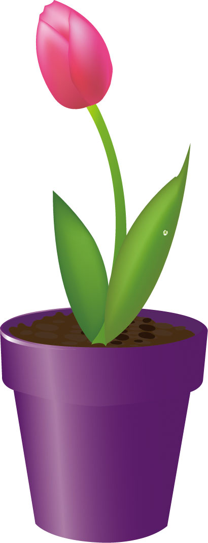 画像サンプル-チューリップの鉢植え