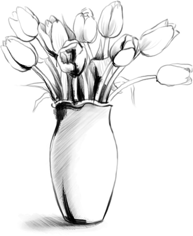 チューリップのイラスト 画像no 29 鉛筆画のチューリップ 無料のフリー素材集 百花繚乱