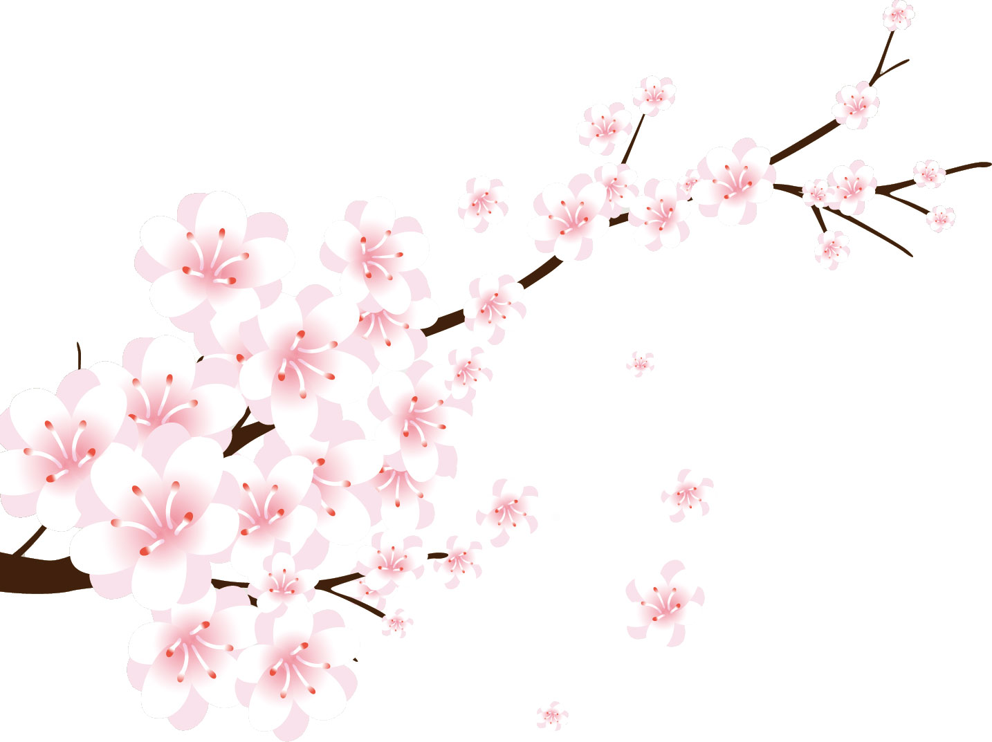 うめ 梅 のイラスト 画像no 021 満開のウメの花 無料のフリー素材集 百花繚乱