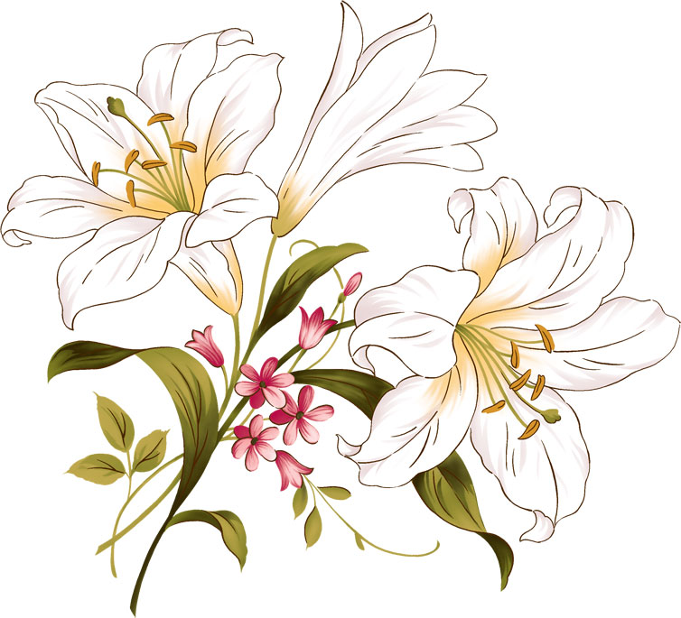 白い花のイラスト 無料のフリー素材集 百花繚乱
