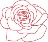 バラの花の画像 イラスト 無料のフリー素材集 百花繚乱