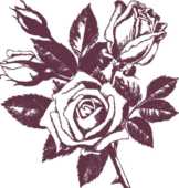 バラの花の画像 イラスト 白黒 モノクロ 無料のフリー素材集 百花繚乱