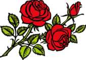 バラの花の画像 イラスト２ 無料のフリー素材集 百花繚乱