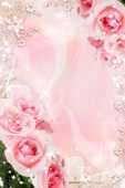 バラの花の写真 画像４ 壁紙 背景用 無料のフリー素材集 百花繚乱