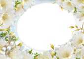 白い花のイラスト 背景 壁紙用 無料のフリー素材集 百花繚乱