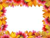 花の写真 フレーム 外枠 無料のフリー素材集 百花繚乱