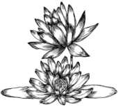 リアルな花のイラスト 白黒 モノクロ 無料のフリー素材集 百花繚乱