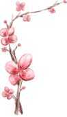 手書き風 絵画風の花のイラスト 鉛筆画 水彩画 日本画など 無料のフリー素材集 百花繚乱