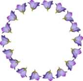 花の写真 フレーム 外枠 無料のフリー素材集 百花繚乱