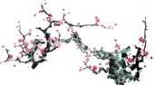 梅 うめ の花のイラスト 画像 無料のフリー素材集 百花繚乱