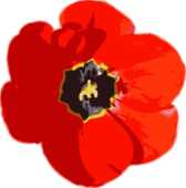 リアルな花のイラスト 花一輪 無料のフリー素材集 百花繚乱