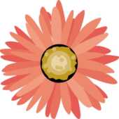 ガーベラ デージー ひなぎく 雛菊 マーガレットの花のイラスト 画像