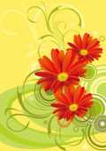 ガーベラ デージー ひなぎく 雛菊 マーガレットの花のイラスト 画像