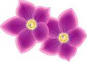 紫色の花のイラスト 無料のフリー素材集 百花繚乱