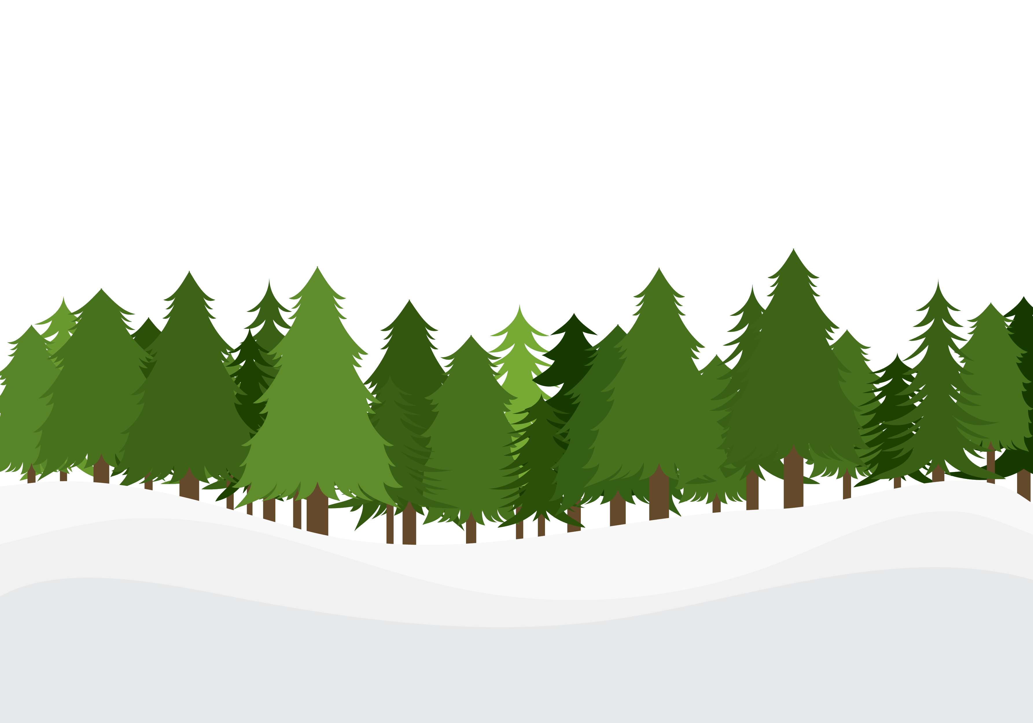 葉っぱや草木のイラスト 壁紙 背景no 085 雪原の針葉樹林 緑