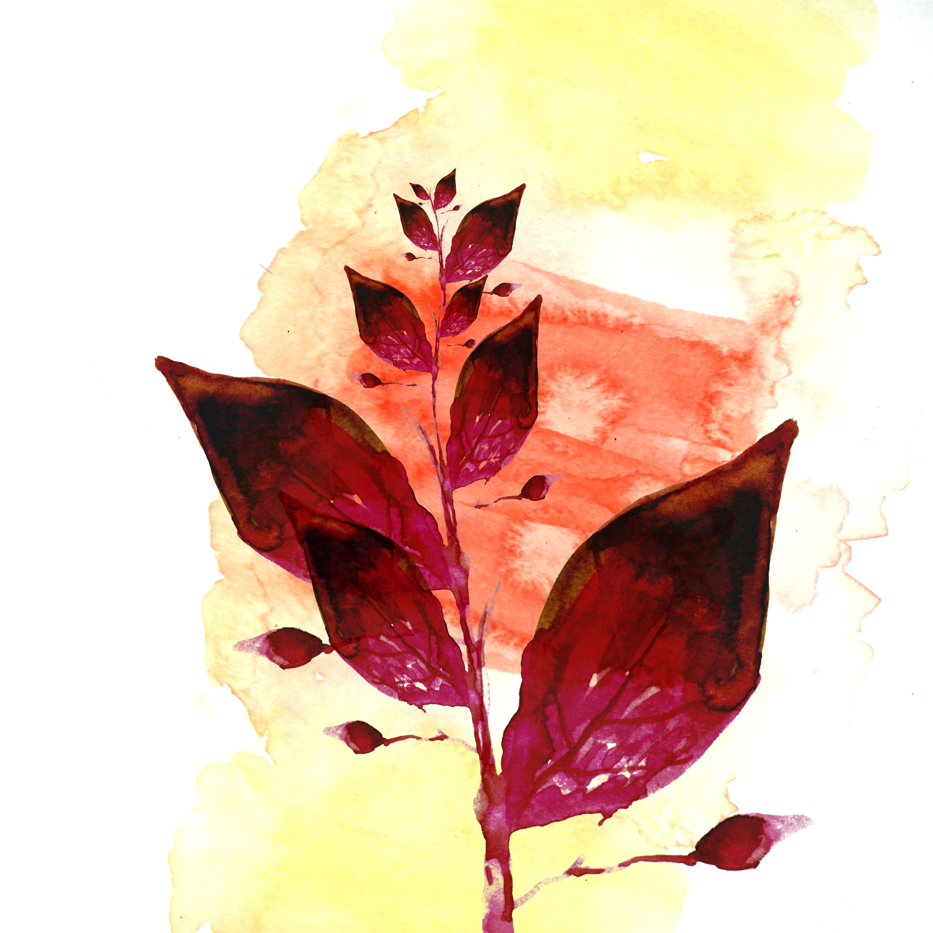 葉っぱや草木のイラスト 壁紙 背景no 107 水彩画風 赤紫