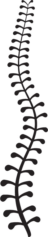 葉のライン線イラスト-茎枝