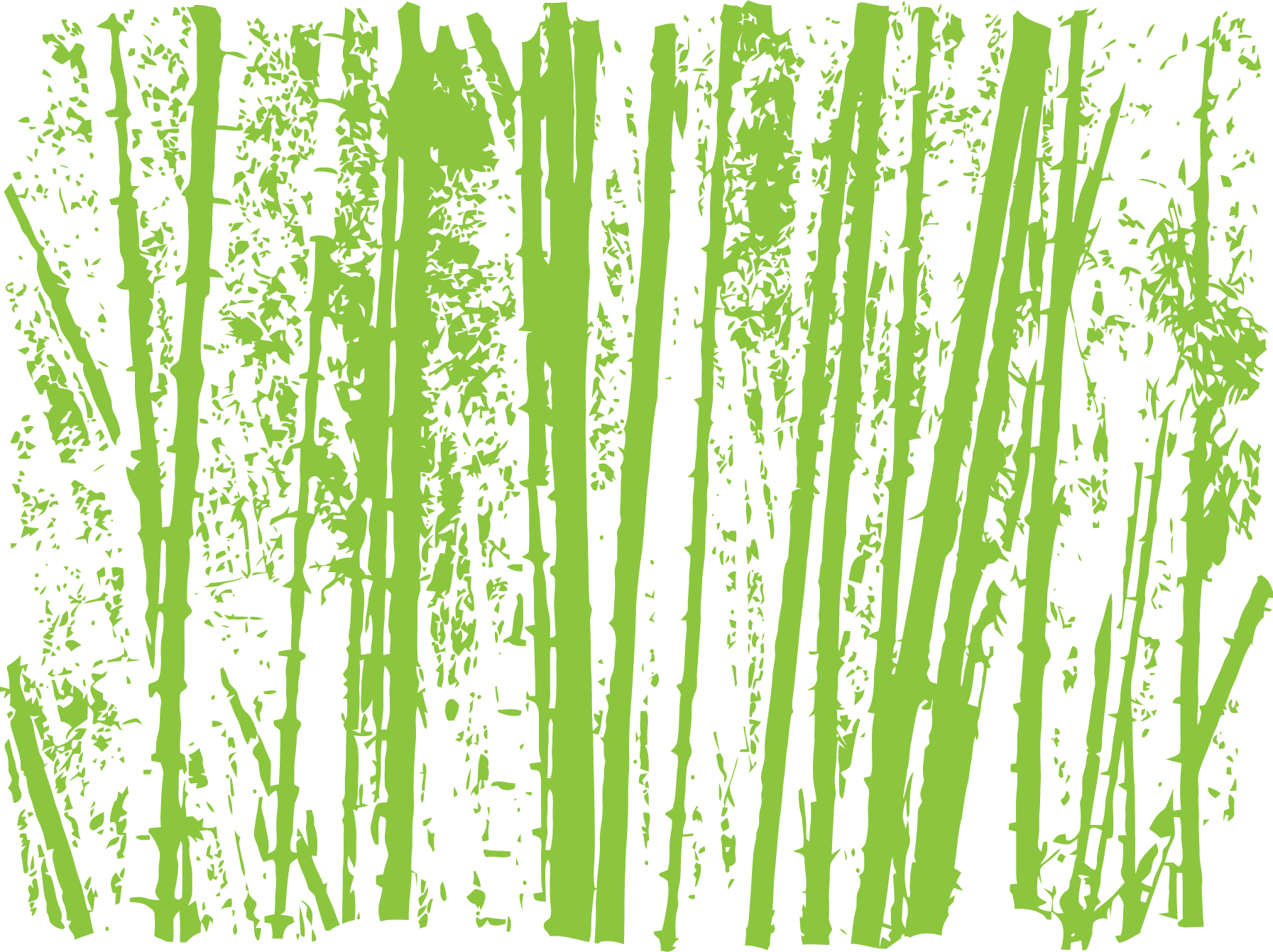 葉っぱや草木のイラスト 画像 フリー素材 No 248 竹林イメージ