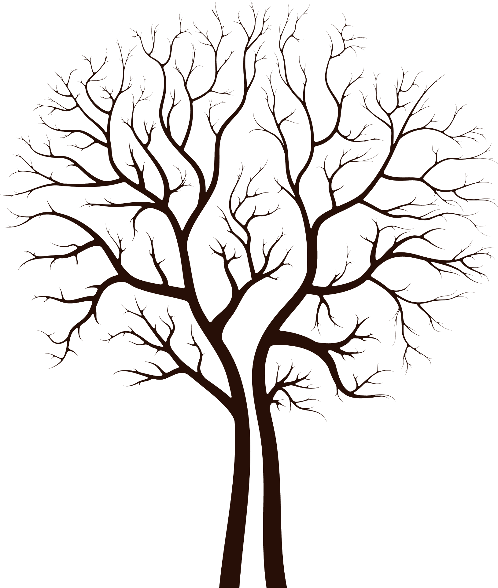 葉っぱや草木のイラスト 画像 フリー素材 白黒no 3 枯れ木のイメージ