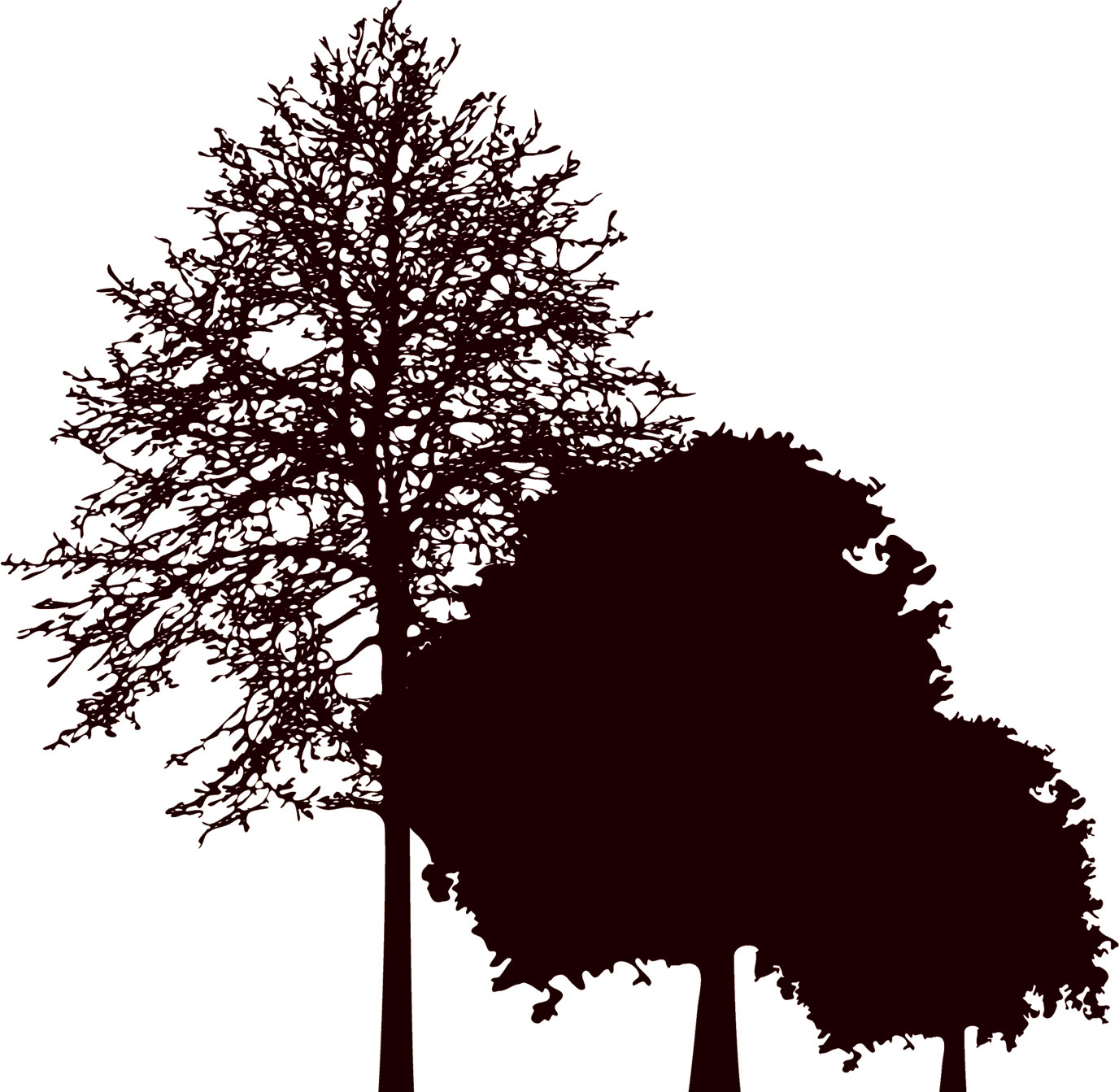 葉っぱの見本画像-木々のシルエット