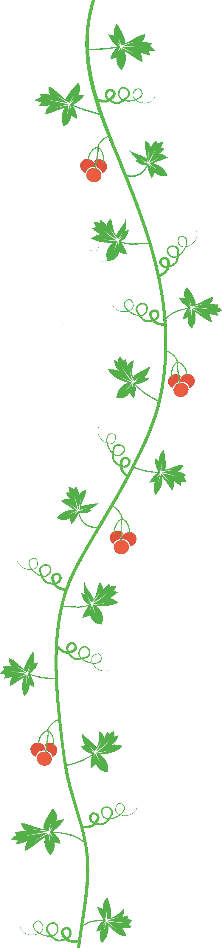 葉のライン線イラスト-葉・蔦・蔓・赤い実