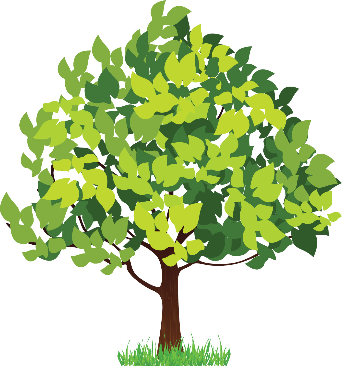 Дерево с зелеными листочками