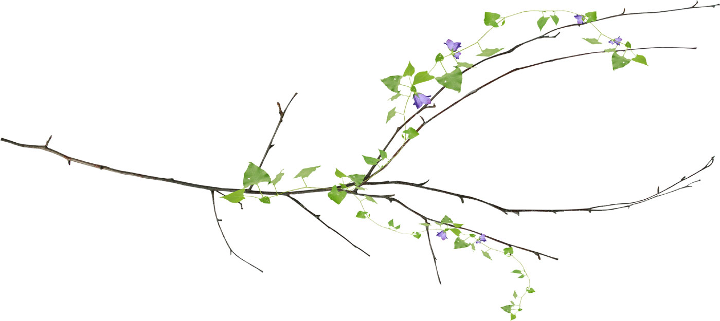 葉のライン線イラスト-紫・枝葉・細長