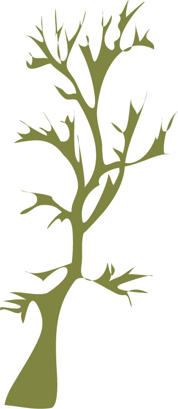 葉っぱや草木のイラスト 画像 フリー素材 No 9 緑の枯れ木