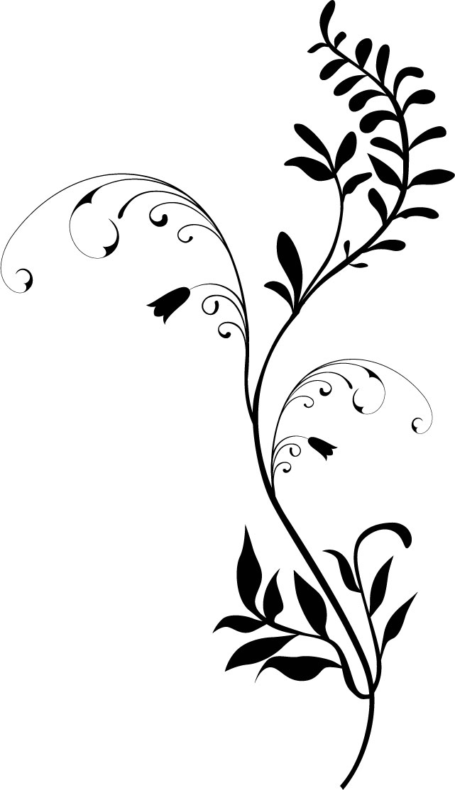 葉っぱの見本画像-白黒・茎葉