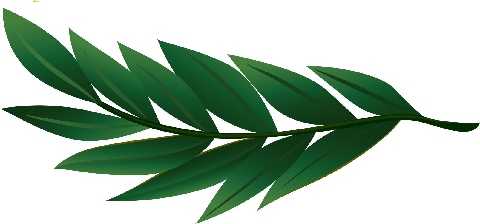 葉のライン線イラスト-茎葉・たくさん・緑
