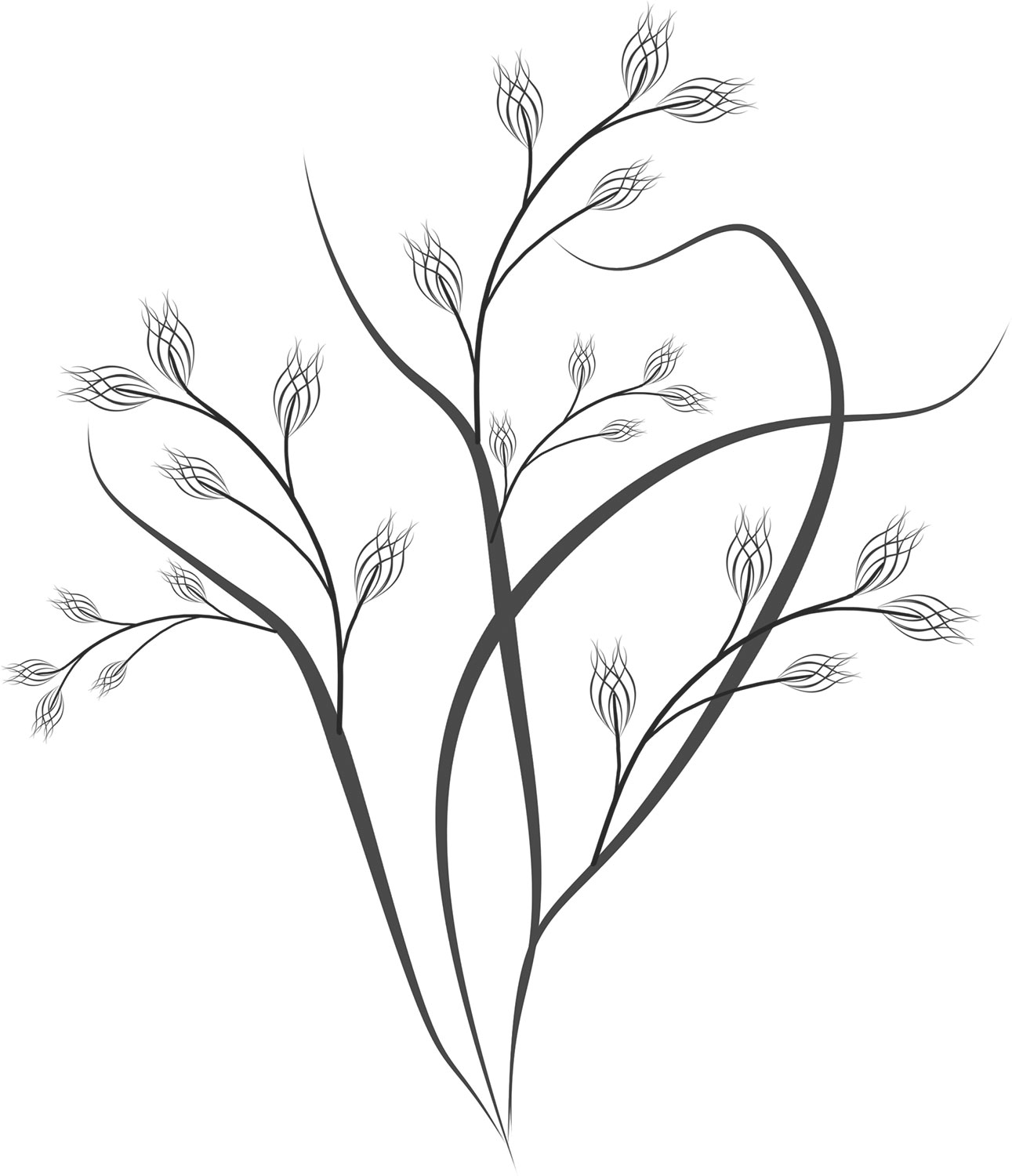 葉っぱの見本画像-白黒・茎葉
