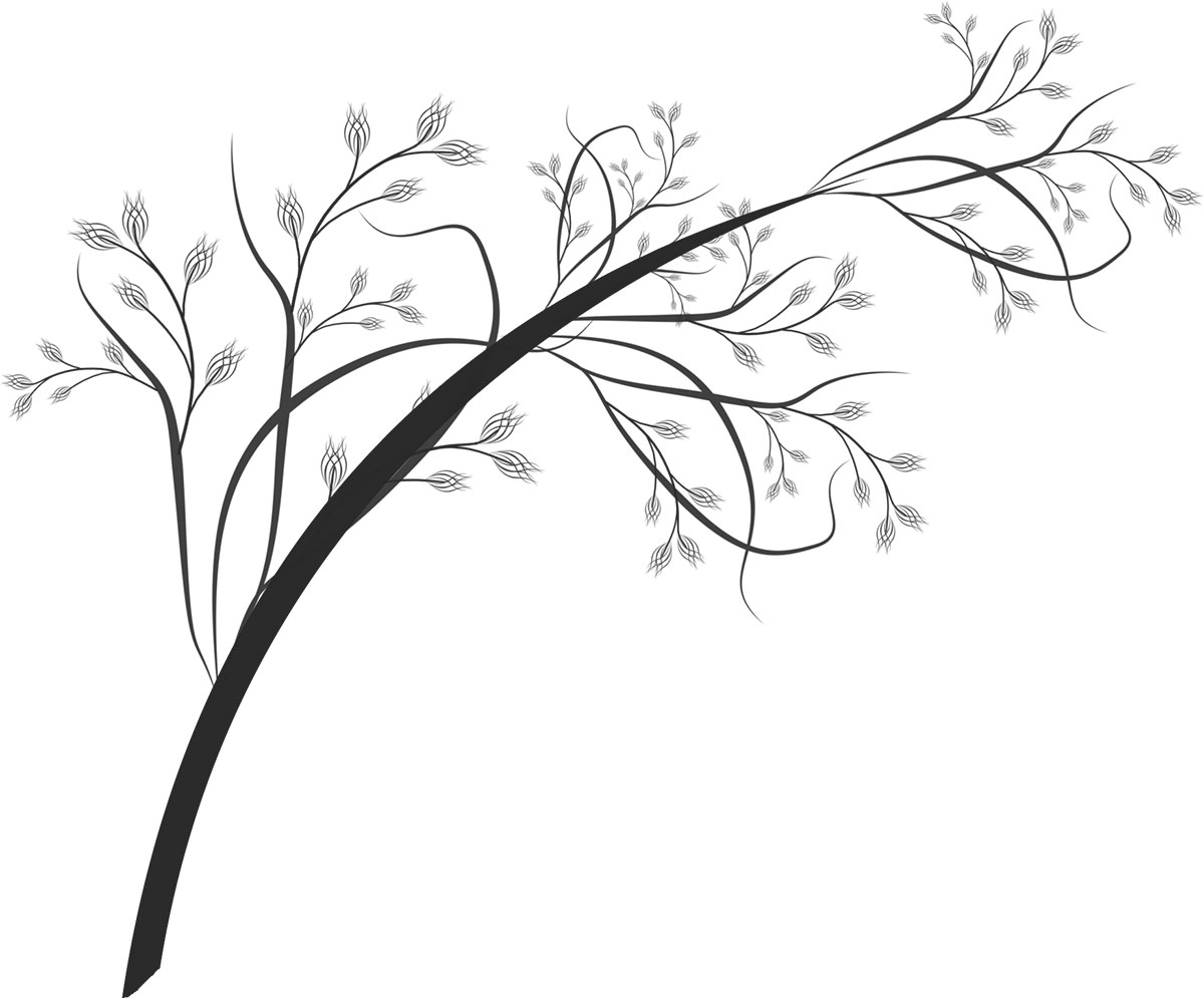 葉っぱの見本画像-白黒・枝葉