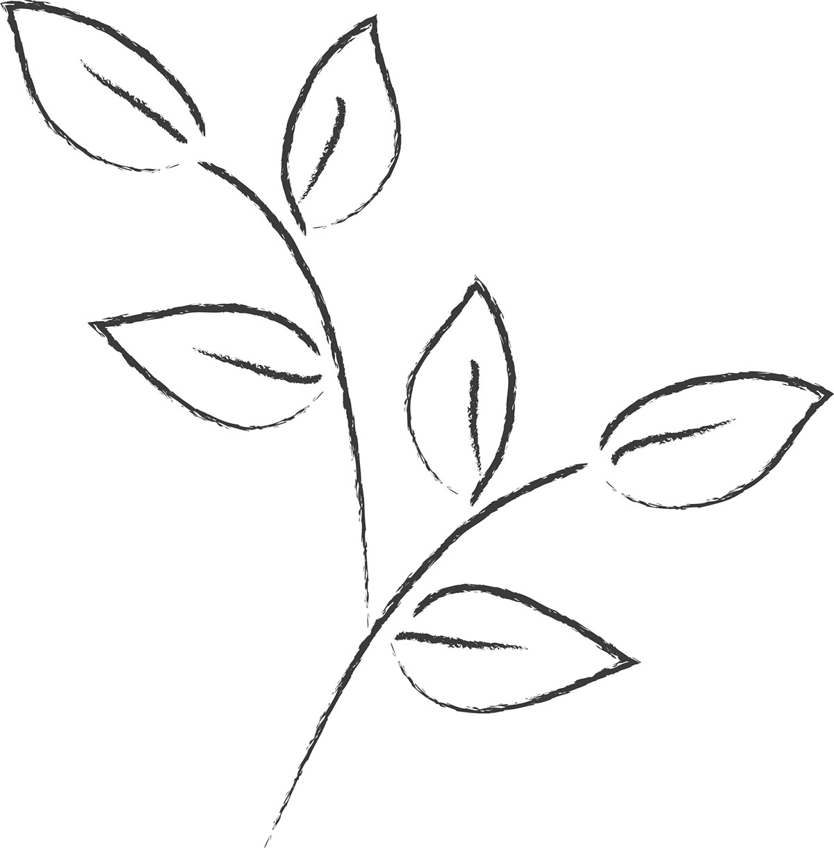 葉っぱの見本画像-白黒・茎葉・手書き風